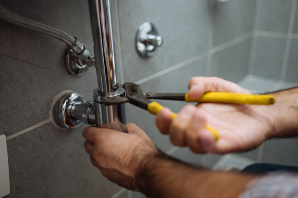 Best Plumbing Services Near Me  in Bunnell, FL
