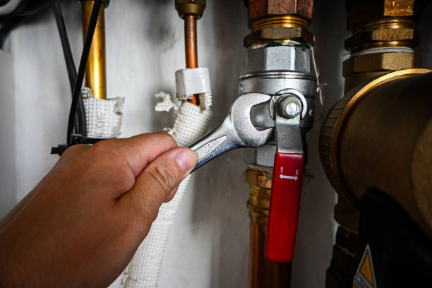 Best Septic Systems  in Bunnell, FL